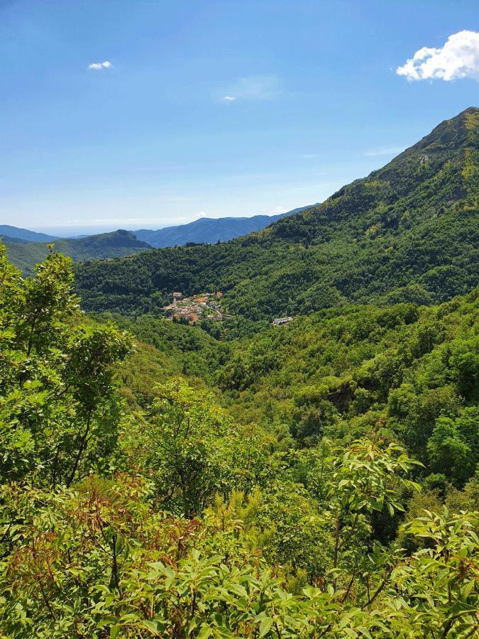 Il Bosco Di Campo Marzano Rooms & Apartments Borzonasca Ngoại thất bức ảnh