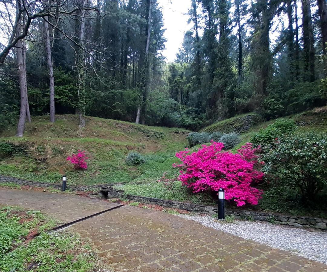 Il Bosco Di Campo Marzano Rooms & Apartments Borzonasca Ngoại thất bức ảnh