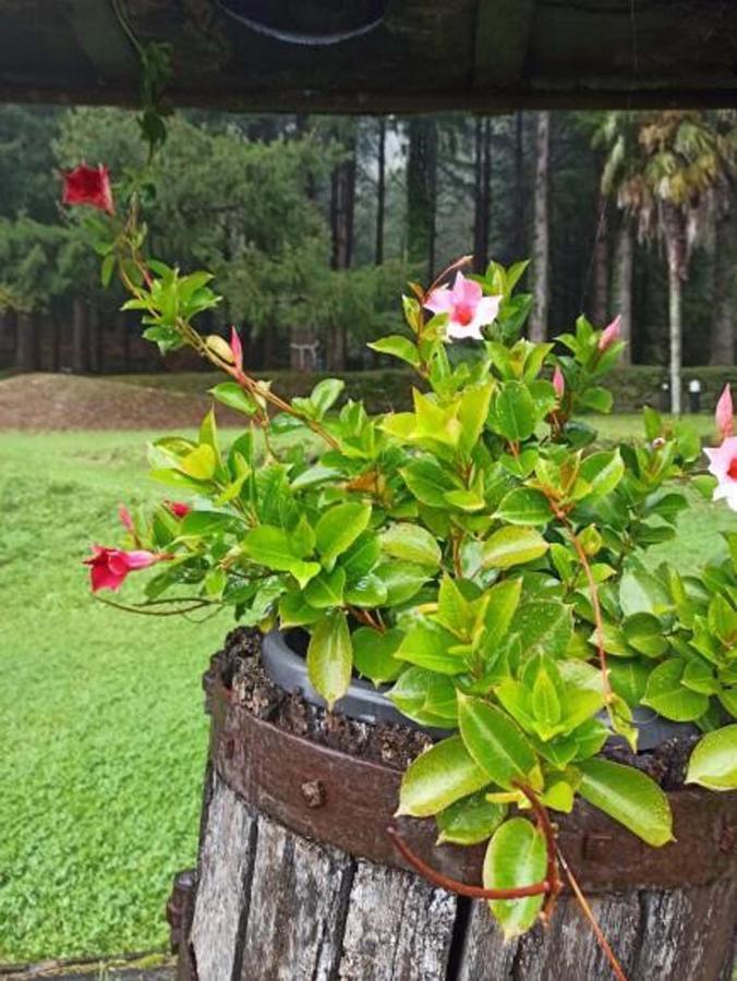 Il Bosco Di Campo Marzano Rooms & Apartments Borzonasca Ngoại thất bức ảnh