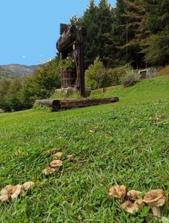 Il Bosco Di Campo Marzano Rooms & Apartments Borzonasca Ngoại thất bức ảnh