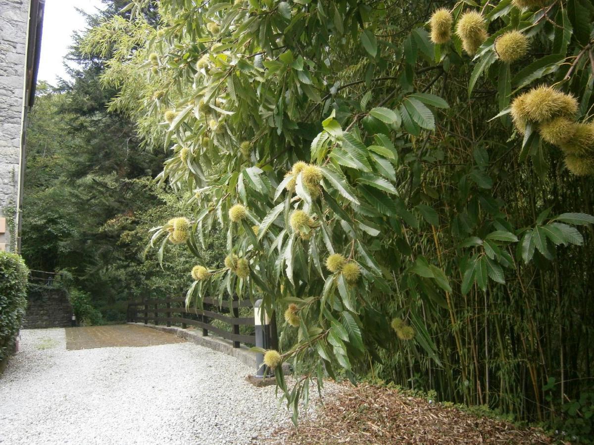 Il Bosco Di Campo Marzano Rooms & Apartments Borzonasca Ngoại thất bức ảnh