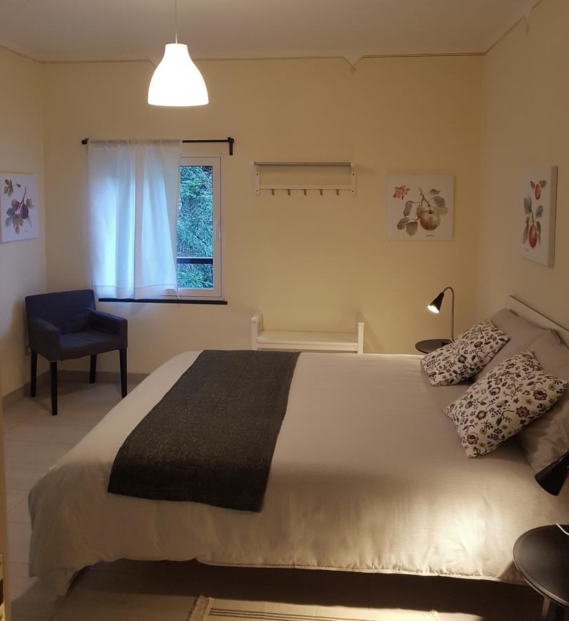 Il Bosco Di Campo Marzano Rooms & Apartments Borzonasca Ngoại thất bức ảnh