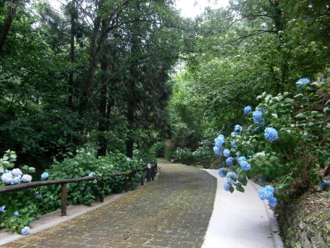 Il Bosco Di Campo Marzano Rooms & Apartments Borzonasca Ngoại thất bức ảnh