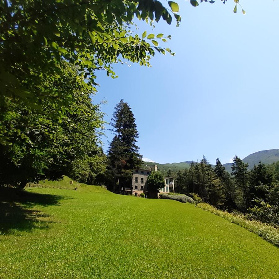 Il Bosco Di Campo Marzano Rooms & Apartments Borzonasca Ngoại thất bức ảnh