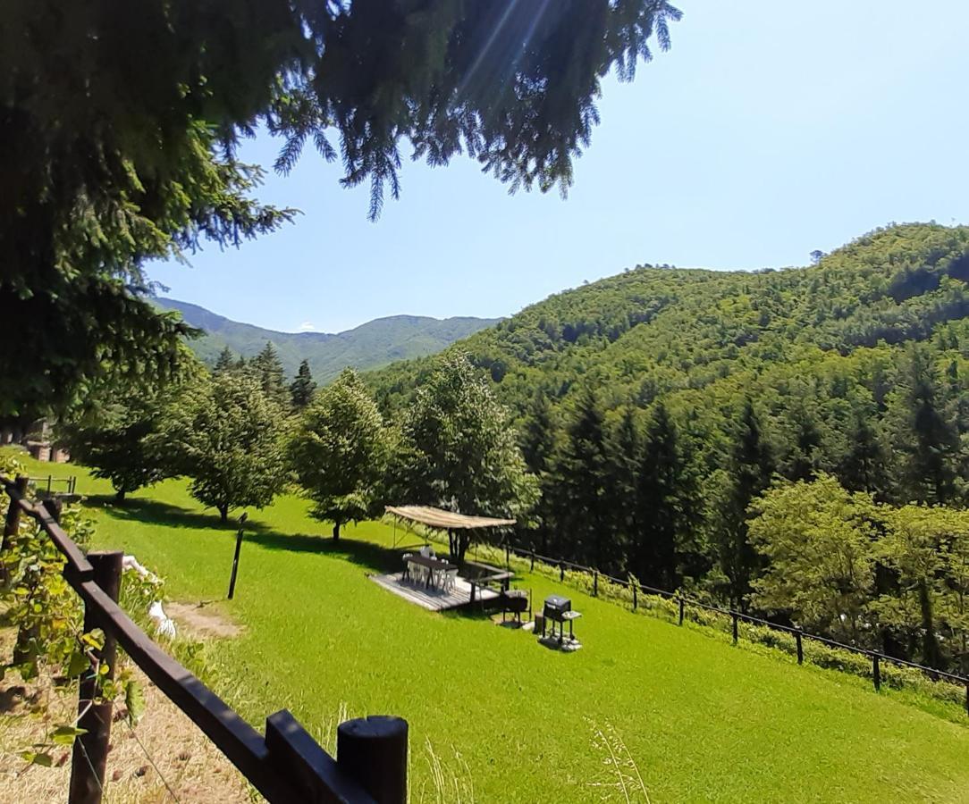 Il Bosco Di Campo Marzano Rooms & Apartments Borzonasca Ngoại thất bức ảnh